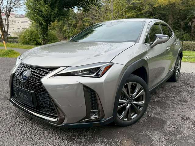 Lexus UX 9