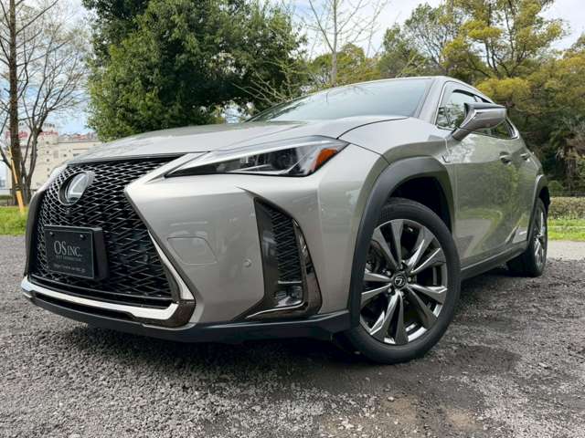Lexus UX 10
