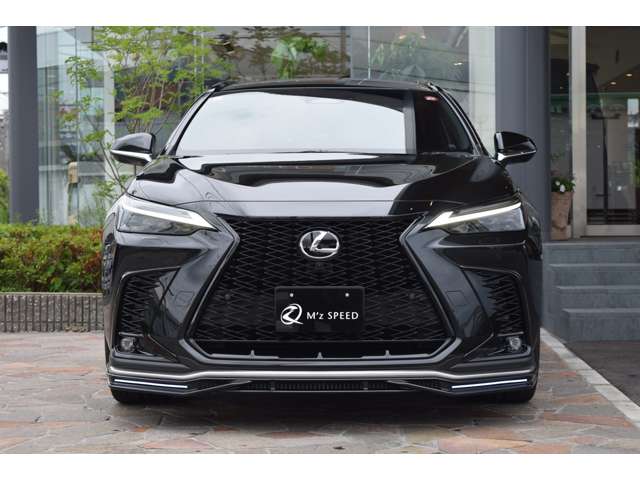 Lexus NX 11