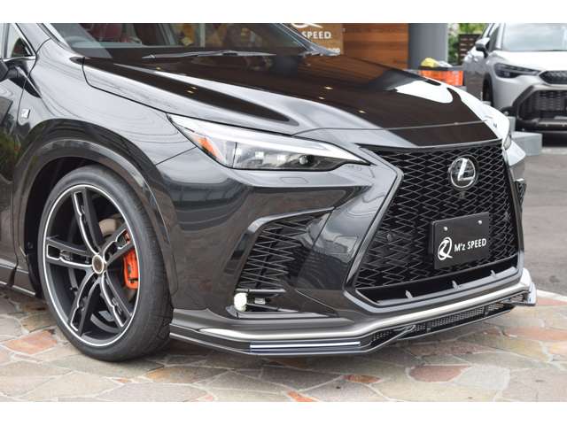 Lexus NX 12