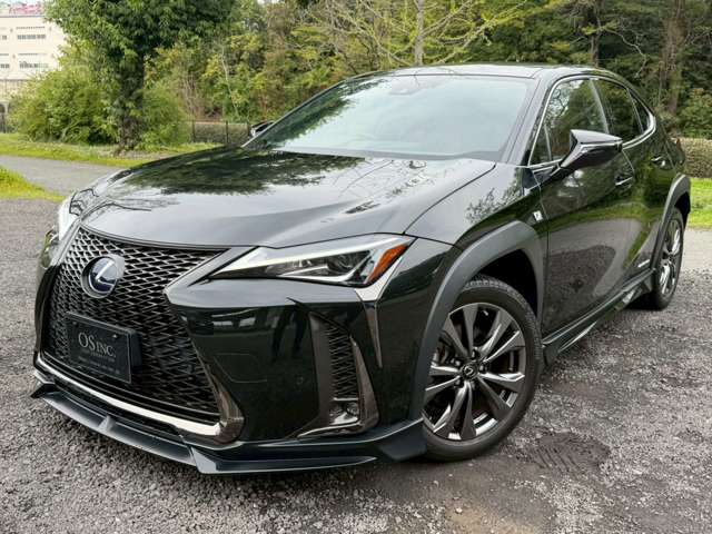 Lexus UX 9