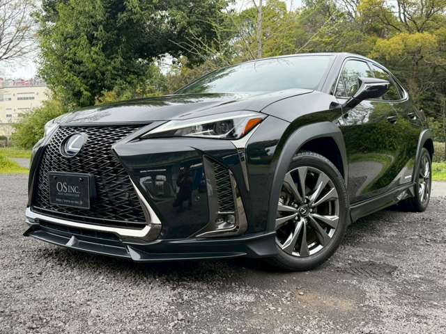 Lexus UX 10