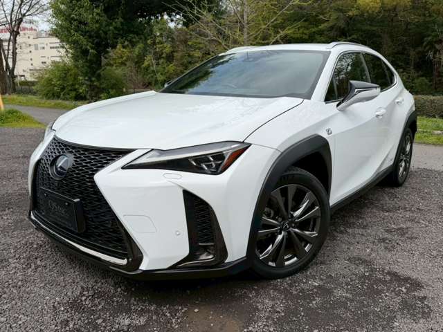 Lexus UX 9