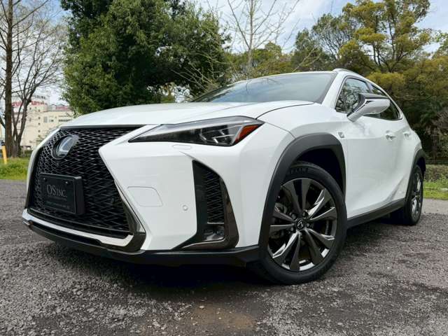 Lexus UX 10