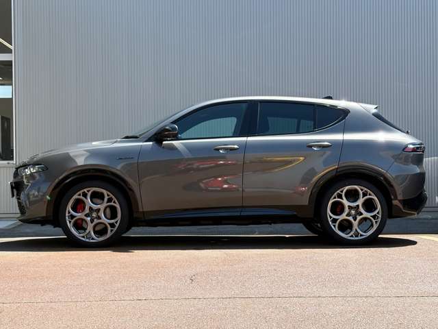 Alfa Romeo トナーレ 8