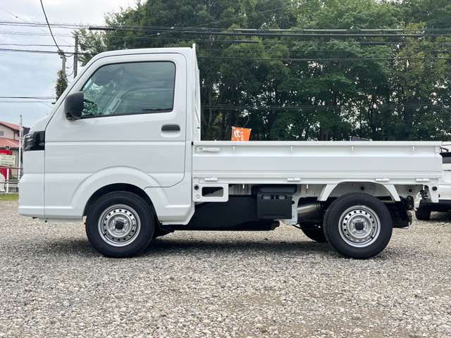 Nissan Clipper Truck 9