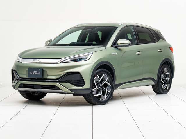BYD BYD ATTO 3 6