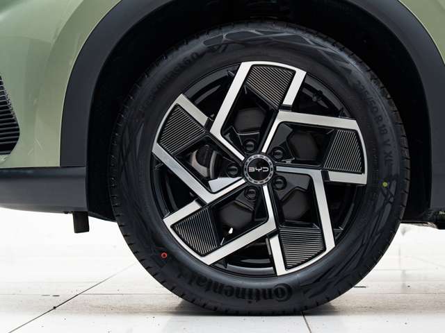 BYD BYD ATTO 3 8
