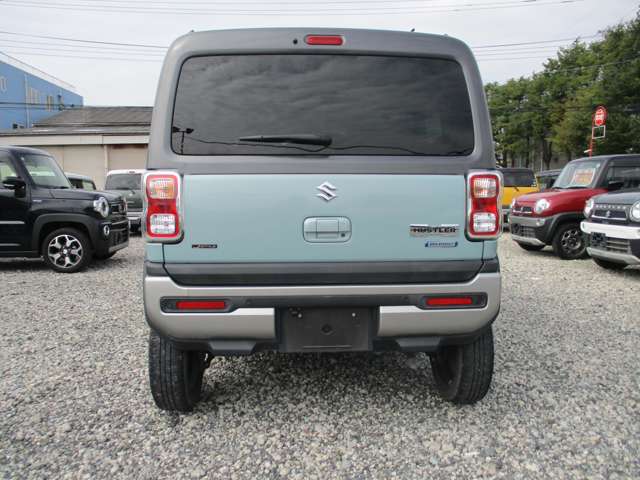 Suzuki Hustler 6