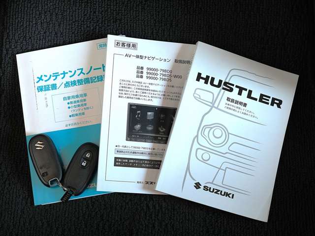 Suzuki Hustler 10