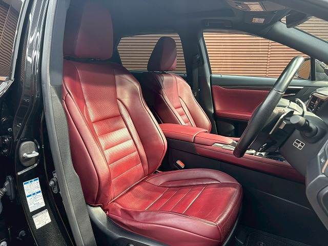 Lexus RX 11