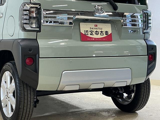 Daihatsu Taft 8