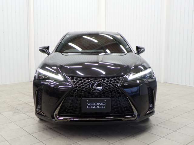 Lexus UX 11