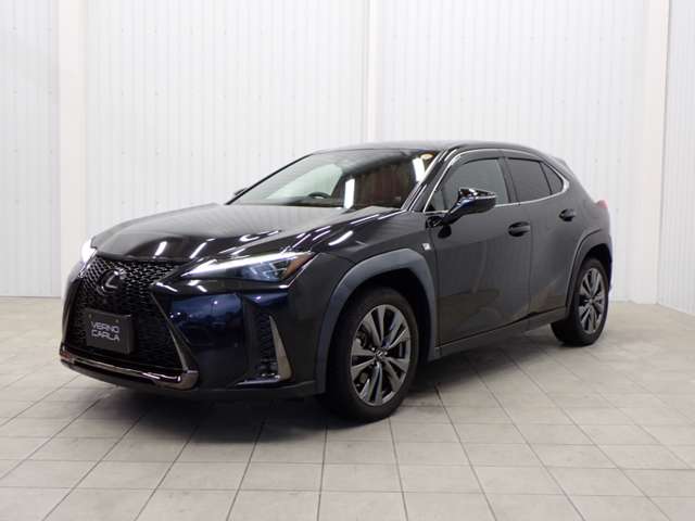 Lexus UX 12