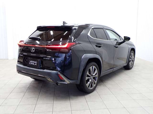 Lexus UX 10