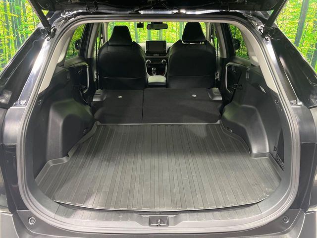 Toyota RAV4 10