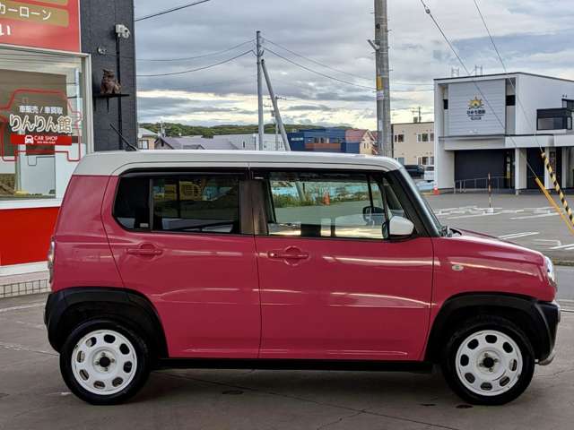 Suzuki Hustler 11