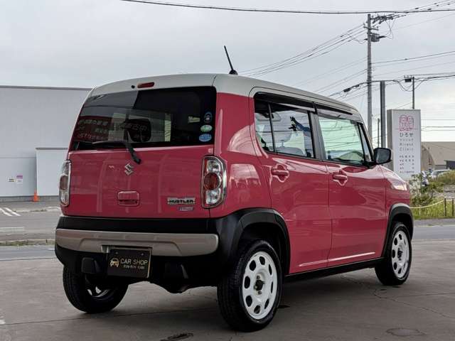 Suzuki Hustler 10