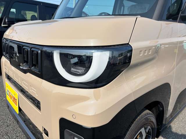 Mitsubishi Delica Mini 11