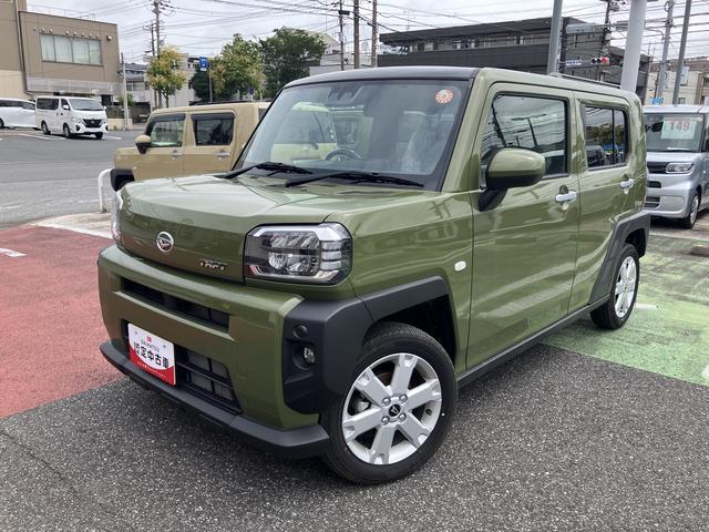 Daihatsu Taft 11