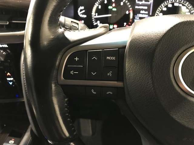Lexus LX 12
