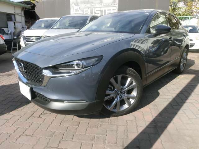 Mazda CX-30 7