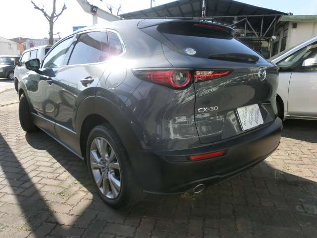 Mazda CX-30 9