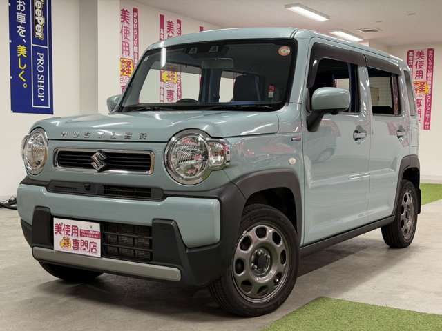 Suzuki Hustler 6