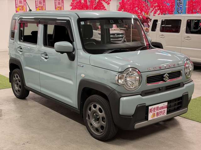 Suzuki Hustler 10