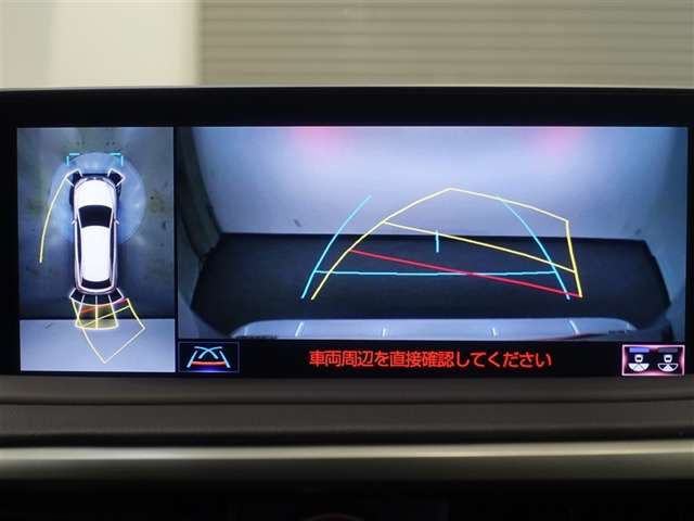 Lexus RX 11
