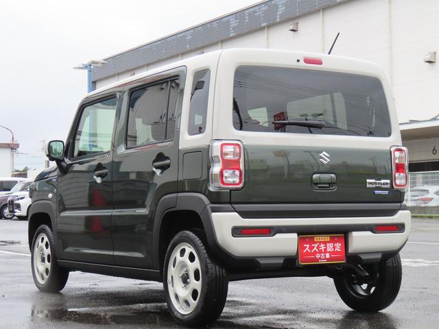 Suzuki Hustler 9