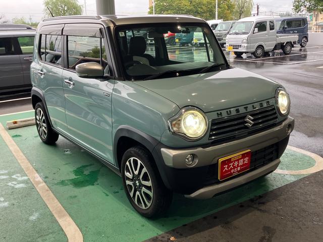 Suzuki Hustler 11