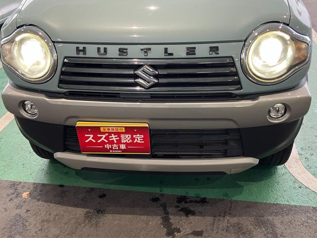 Suzuki Hustler 12