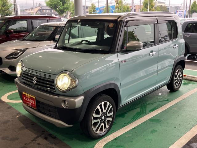 Suzuki Hustler 6