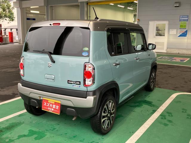 Suzuki Hustler 10