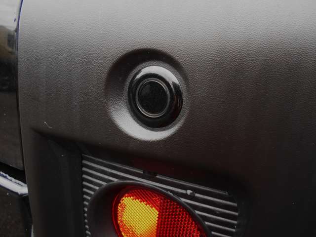 Daihatsu Taft 12