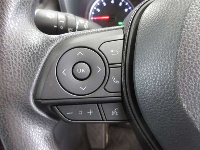 Toyota RAV4 10