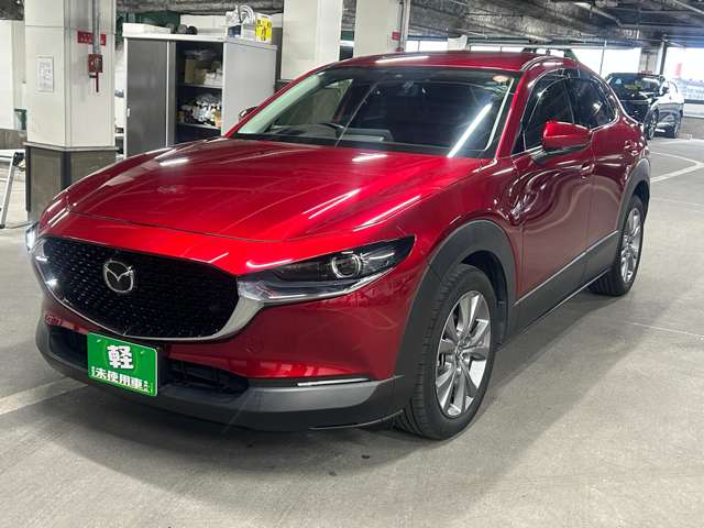 Mazda CX-30 11