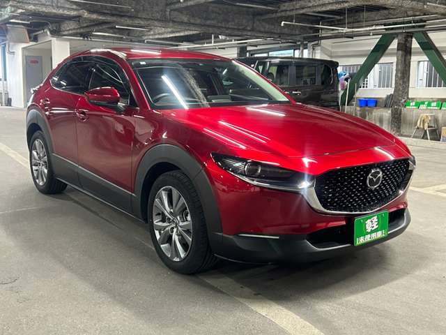 Mazda CX-30 10