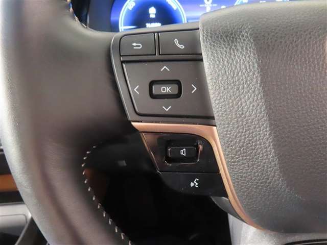 Toyota Crown Sport 10