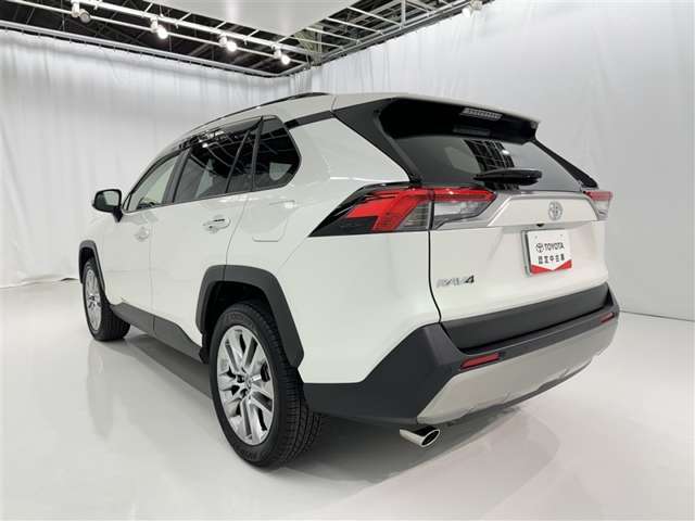 Toyota RAV4 6