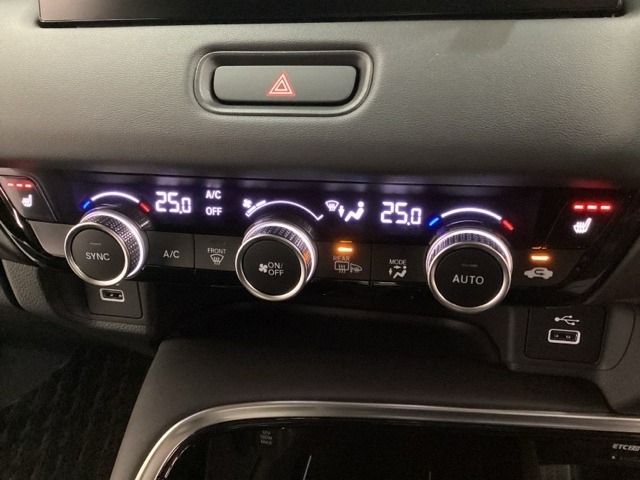 Honda Vezel 11
