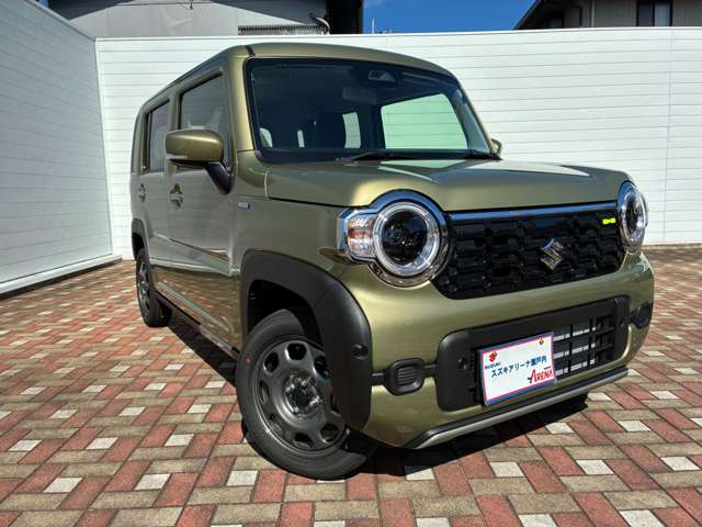 Suzuki Hustler 12