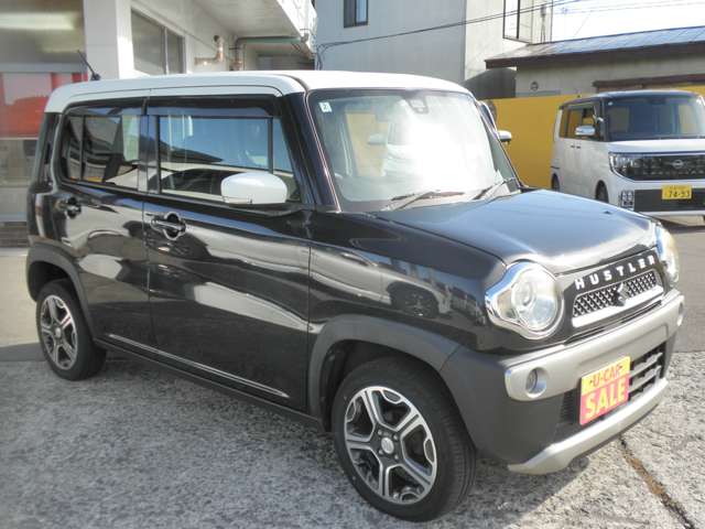 Suzuki Hustler 10