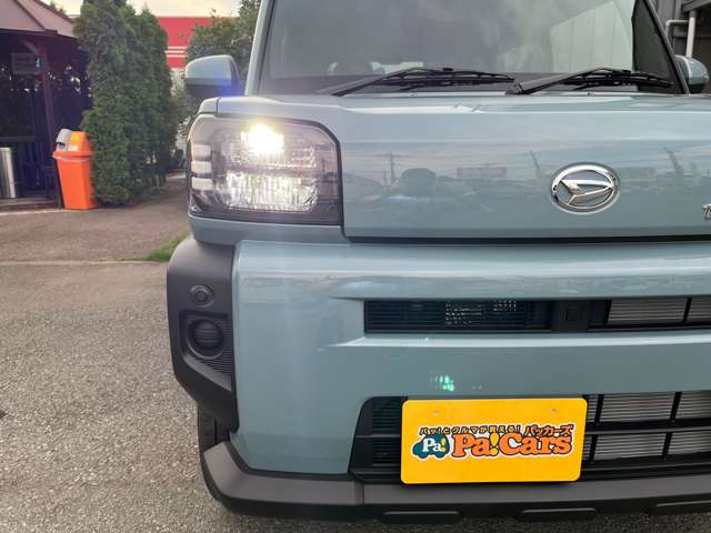 Daihatsu Taft 11