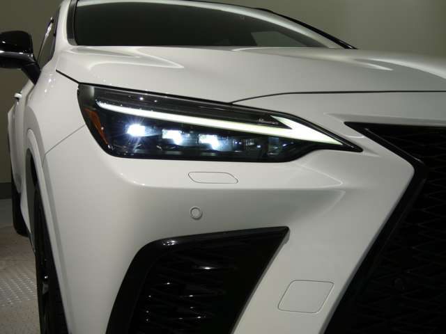 Lexus NX 6