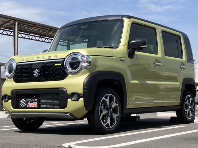 Suzuki Hustler 11