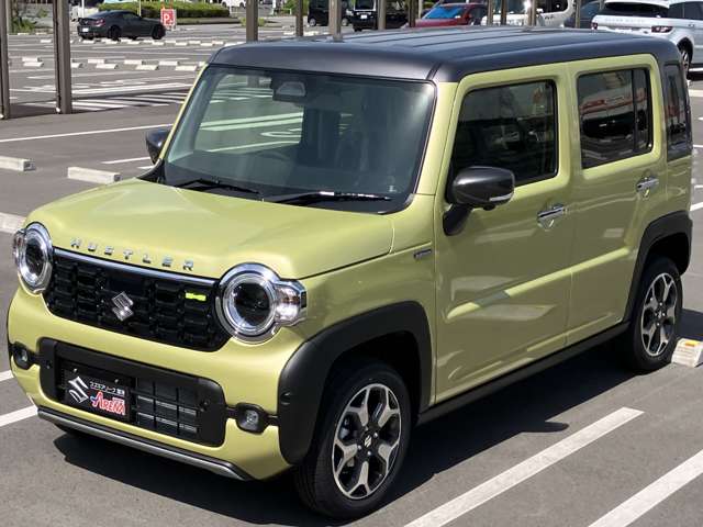 Suzuki Hustler 9