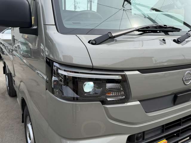 Nissan Clipper Truck 10