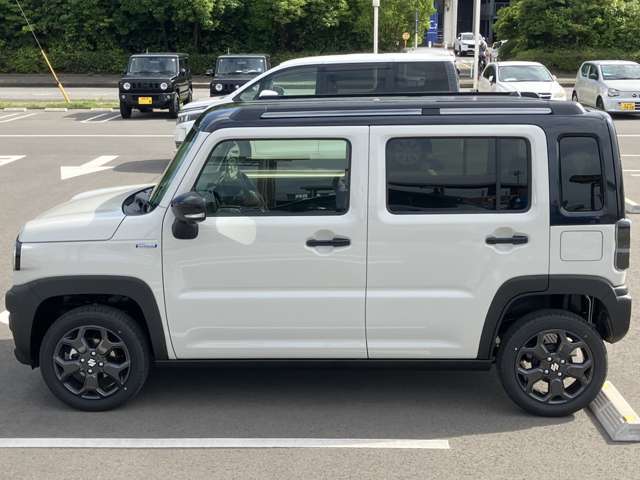 Suzuki Hustler 12